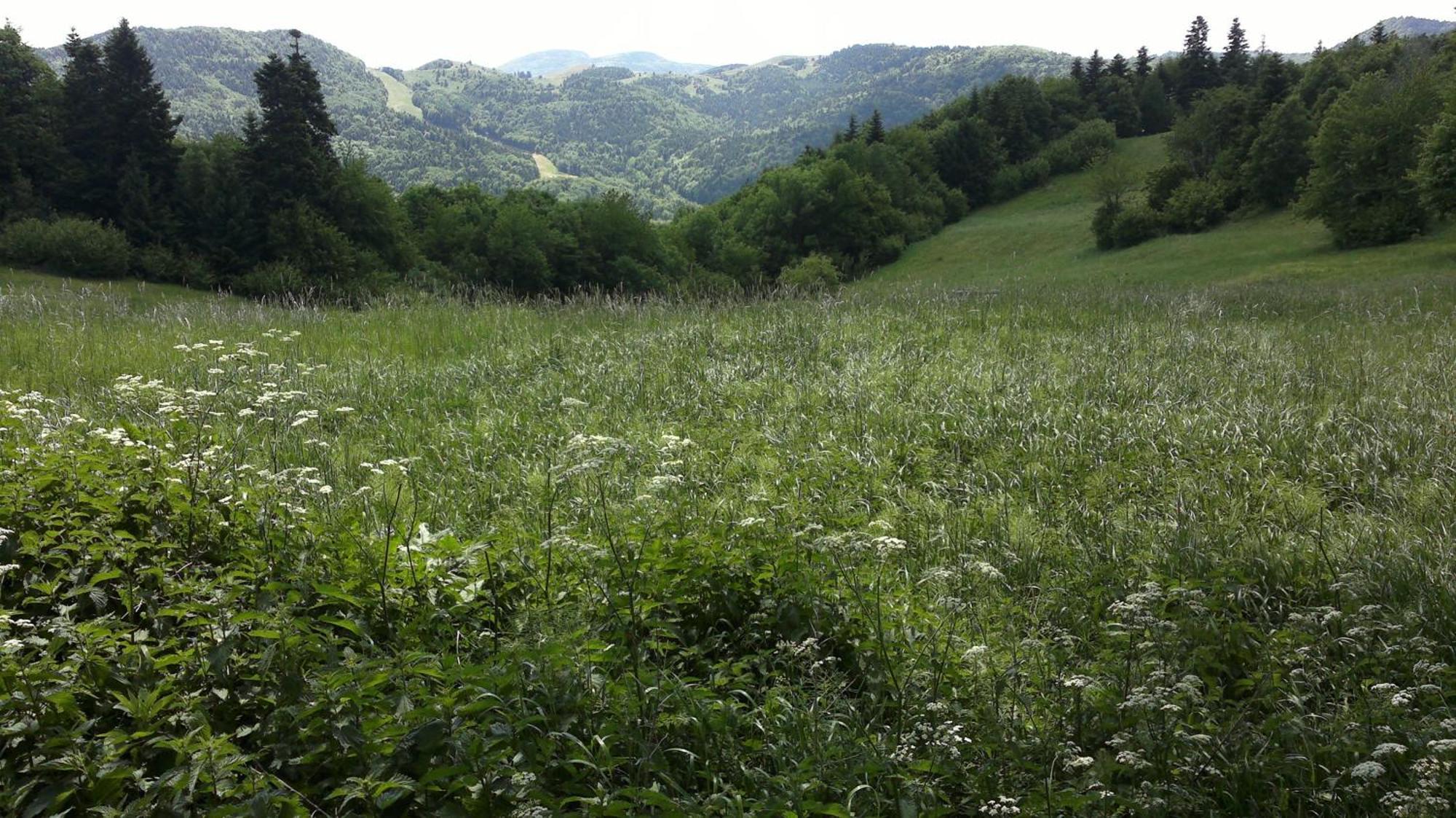 Apartmany Weissov Dom Banská Štiavnica Εξωτερικό φωτογραφία